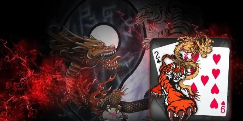 Lưu ý khi chơi Rồng Hổ