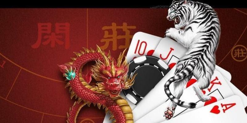 Mẹo đánh Rồng Hổ chắc thắng
